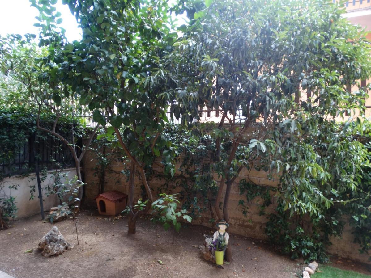 A Casa Di Delia - Stazione Fidene Apartment Rome Bagian luar foto